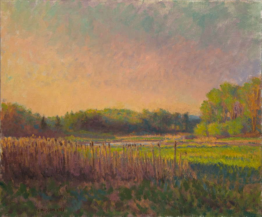 CAT# 0505  The Pattaquassett - early summer - late day  oil	20 x 24  Leif Nilsson summer 1989	&copy;